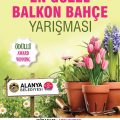 The best balcony and the best garden competion in Alanya