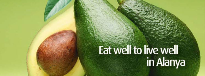 Online and Printed Visit Alanya Magazine 2018