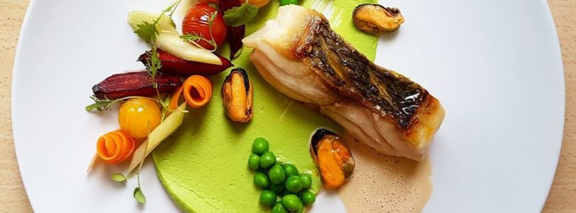 Welcome to food paradise