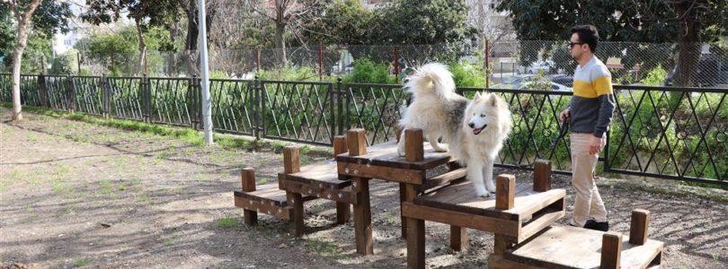 The first dog park in Alanya